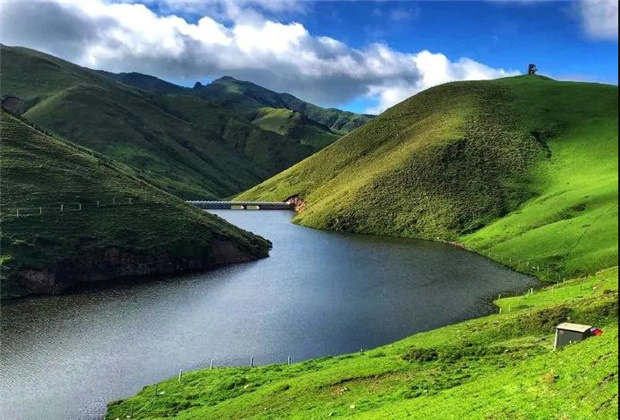 云南露營場地：夏天的大海草山，已經(jīng)美成了天堂！